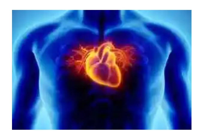 heart-diseases-and-their-symptoms-part-1-the-scoper-media-the